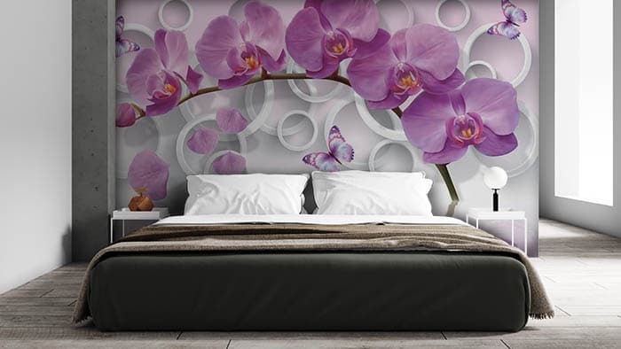 Violet Vibe shown in a room
