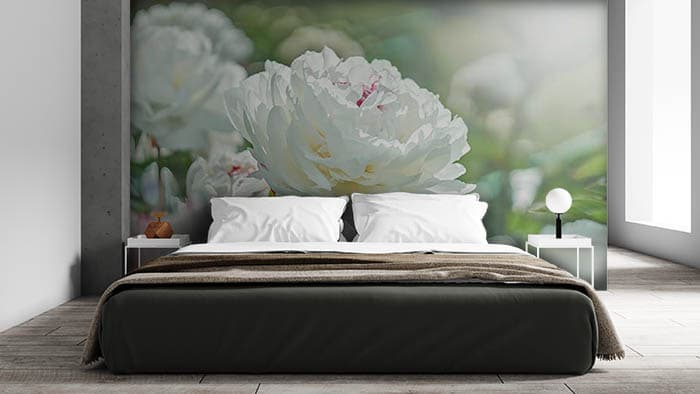 White Blossom shown in a room