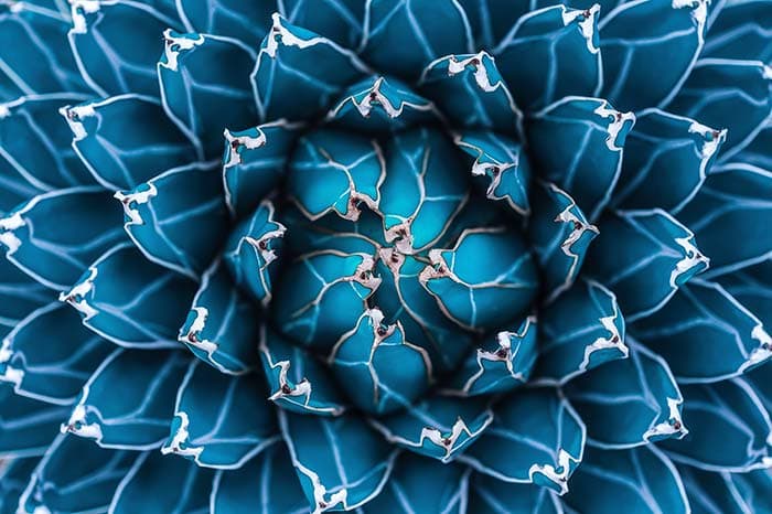 Blue Abstract Design pattern detail