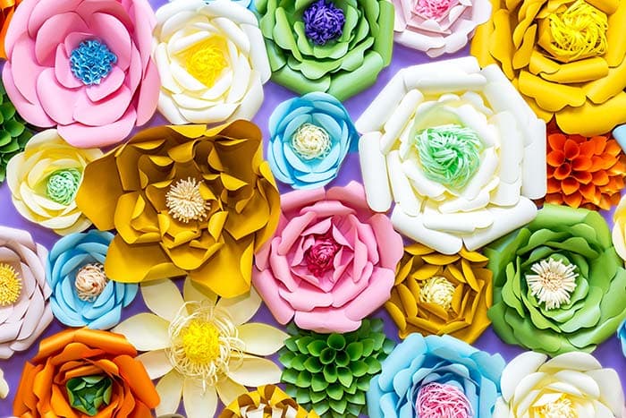 Paper Florets pattern detail