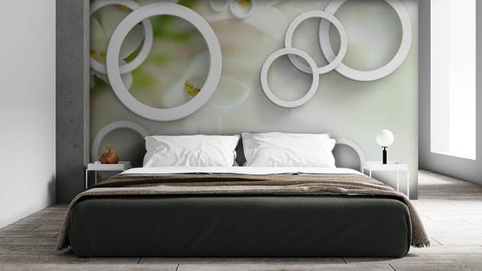 Rings on Walls shown in a room