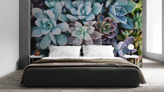 Blue Hue shown in a room