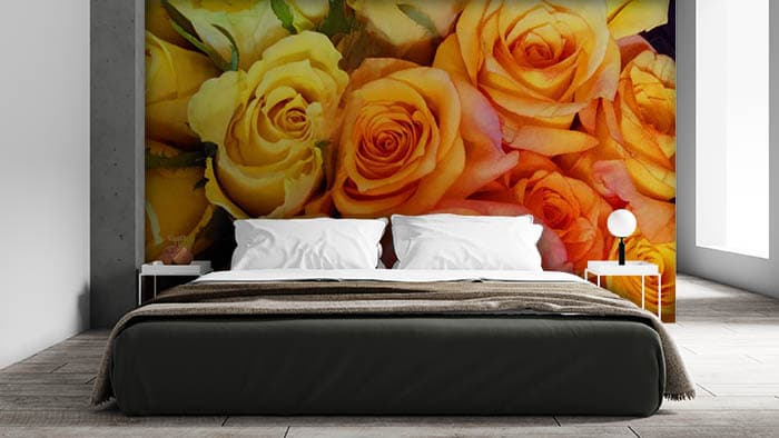 Thin Blossom shown in a room
