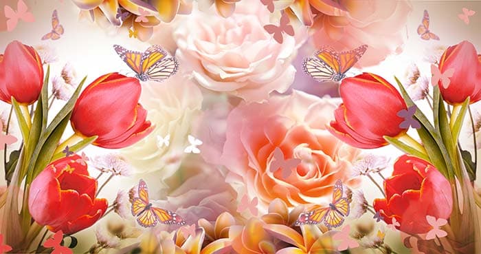 Different Shades of Roses With Butterflies Wallpaper for Wall pattern detail