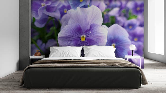 Lavender shown in a room