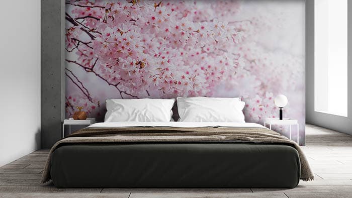 Cherry Blossom Floral Nature Wallpaper shown in a room