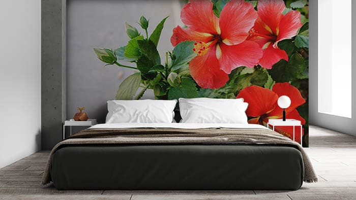 Floral View shown in a room