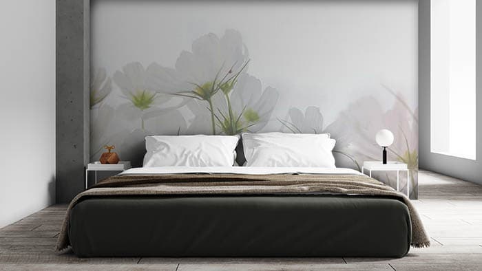 White Blossom shown in a room