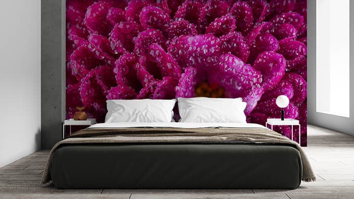 Dew on Red Flowers Wallpaper Mural shown in a room