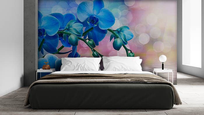 Blue lenses shown in a room