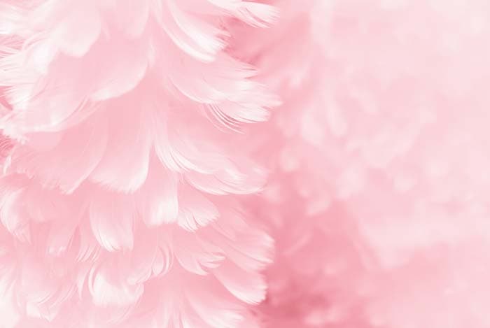 Pink Feathery Peace Wallpaper Mural pattern detail