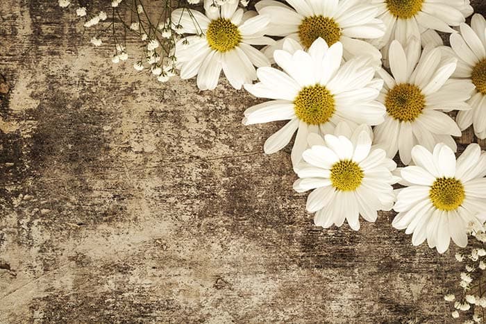 White Floral pattern detail
