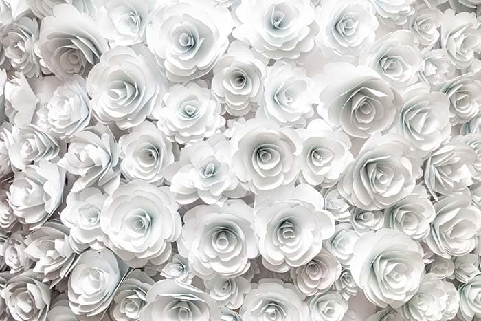 Calming White Roses Wallpaper for Wall Decor pattern detail