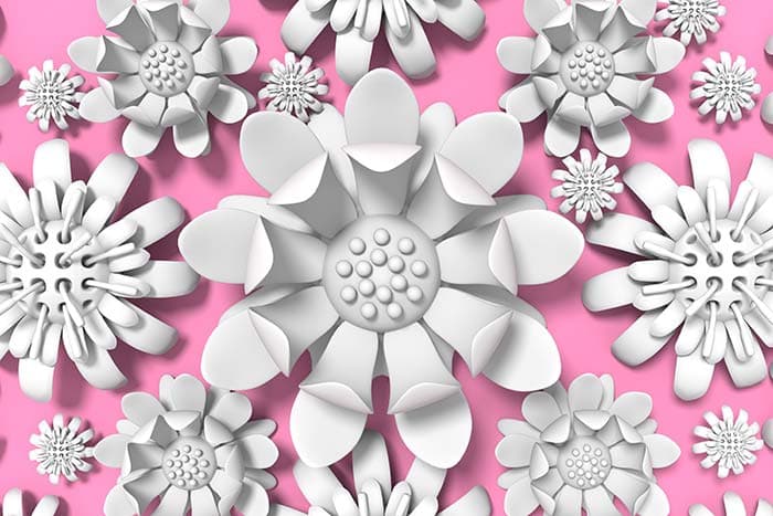 White Flower with Pink Background Wallpaper pattern detail