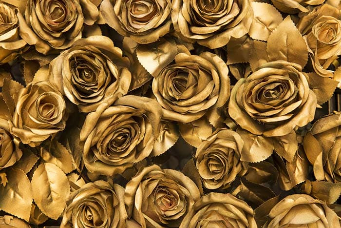 Golden Roses Wallpaper Mural pattern detail