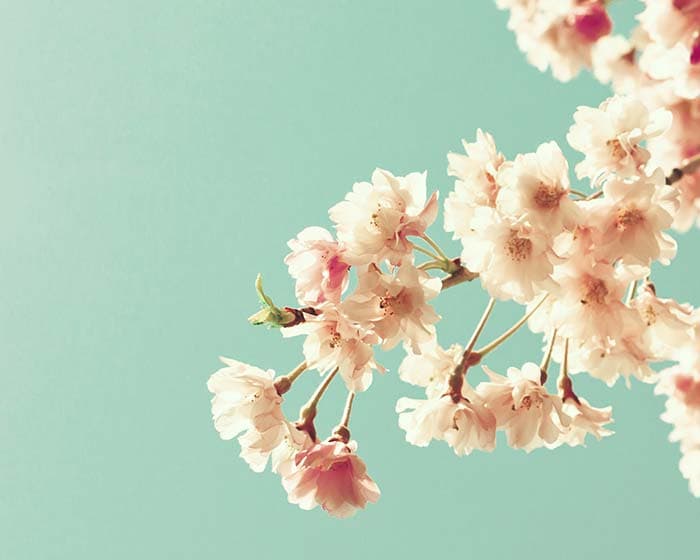 Branches Floral pattern detail