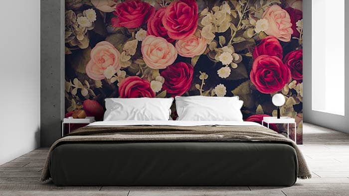 Rosy Shrub shown in a room