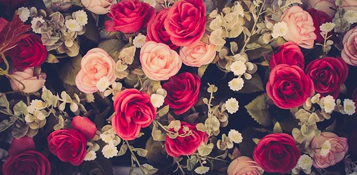 Rosy Shrub pattern detail