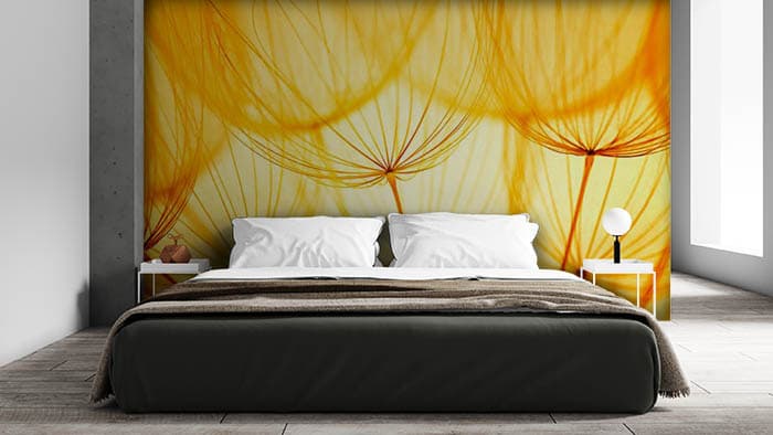 Dandelion During the Golden Hour Wallpaper shown in a room