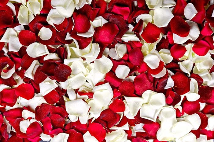 Petals Bed pattern detail
