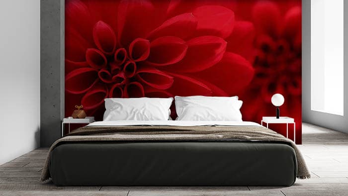 Red Flower Closeup Wallpaper Mural shown in a room