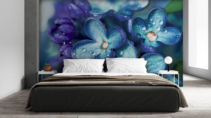 Blue on Dew shown in a room