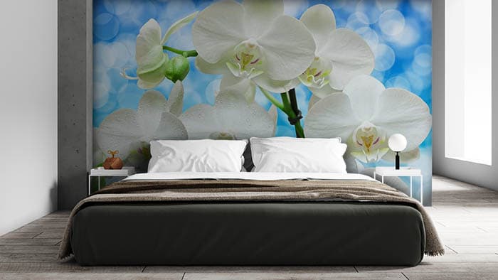 White Noise shown in a room