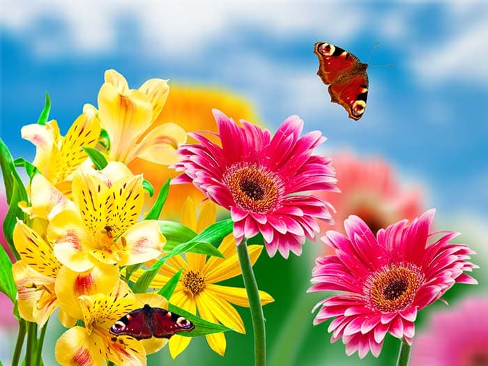 Floral View pattern detail