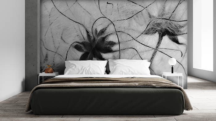 Black Bunt shown in a room