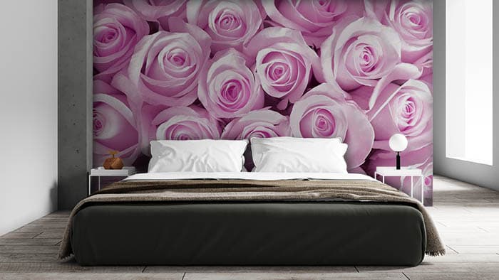 Beautiful Light Pink Rose Wallpaper shown in a room
