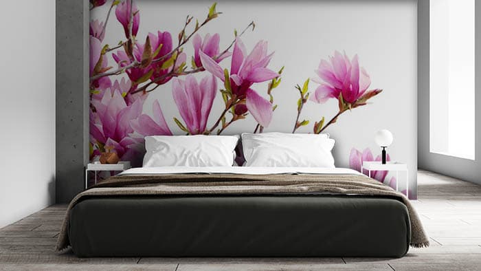 Beautiful Pink Mangolia Flowers Wallpaper shown in a room