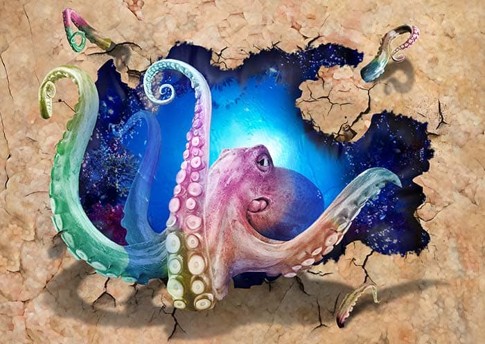 Octopus by The Deep pattern detail