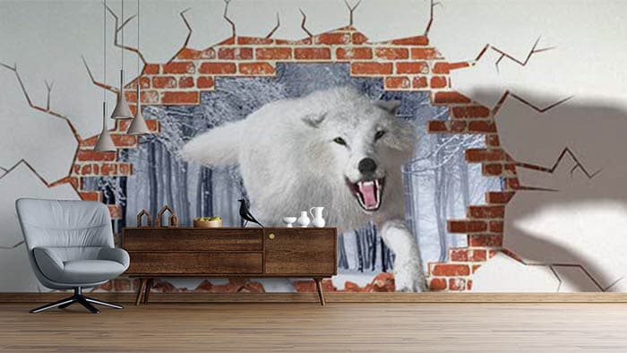 Polar in the Cellar shown in a room
