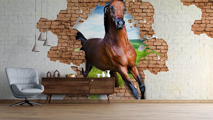 Stallion in the Room shown in a room