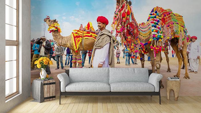 Colorful Camel shown in a room