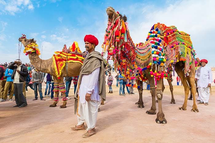 Colorful Camel pattern detail