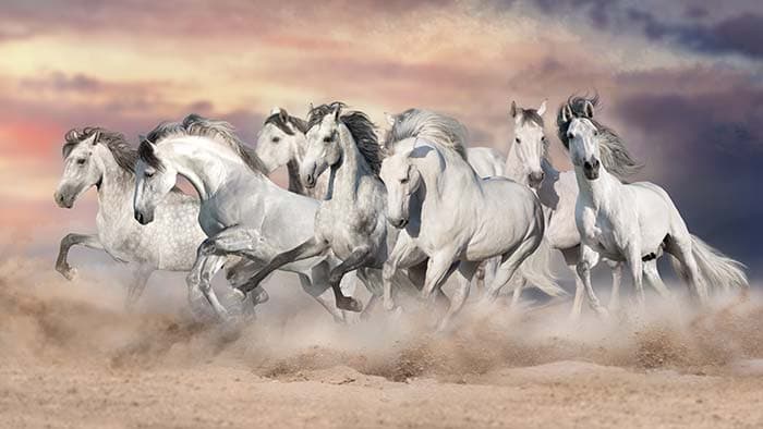 Grand Moon Celestial Wall Mural Wallpaper pattern detail
