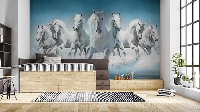 White Beauties shown in a room