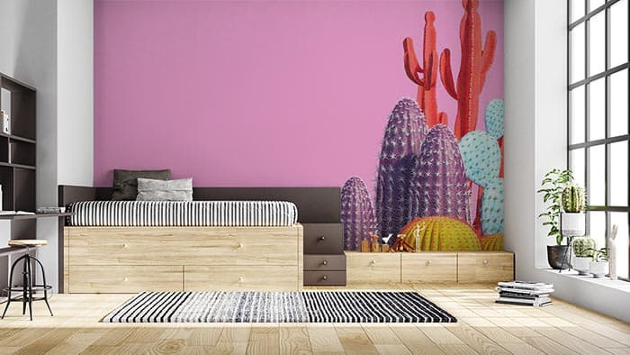 Funky Cactus shown in a room