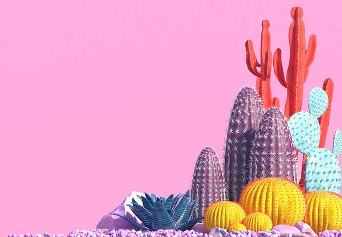 Funky Cactus pattern detail