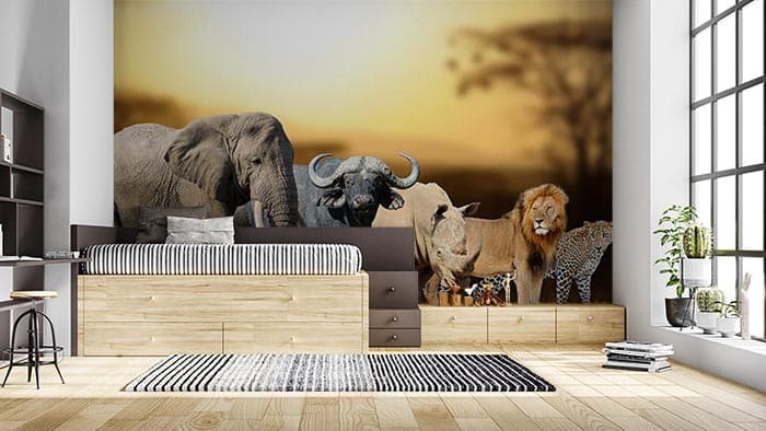 Animal Love shown in a room