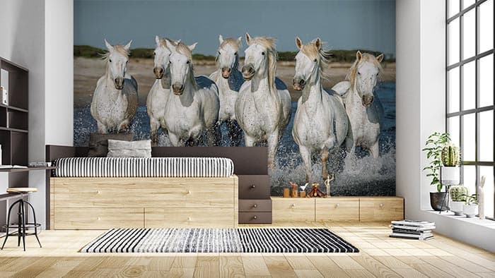 Seven Snowy White Horses in Motion Wallpaper shown in a room