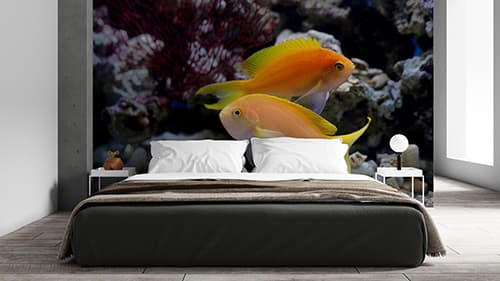 Elegant Golden Fish Underwater Scene wallpaper shown in a room