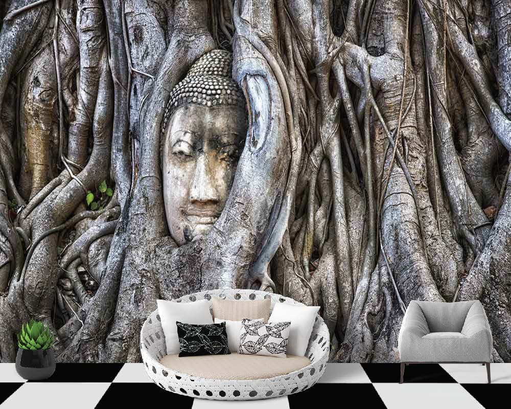 Evolving Buddha shown in a room