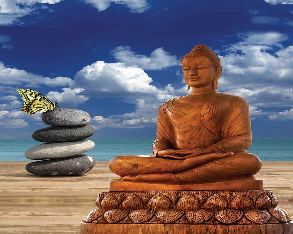Elegant Buddha Stone Balance Nature wallpaper pattern detail