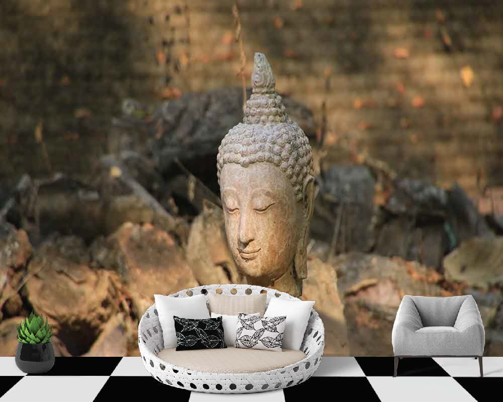 Buddha Face Under Sunlight shown in a room