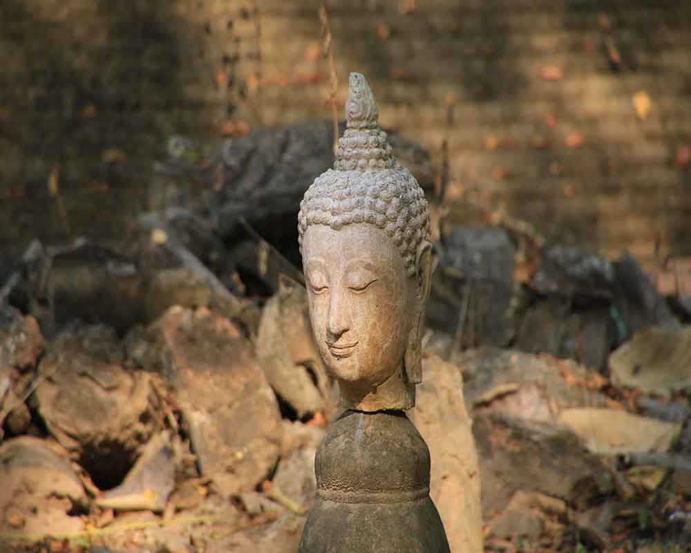 Buddha Face Under Sunlight pattern detail