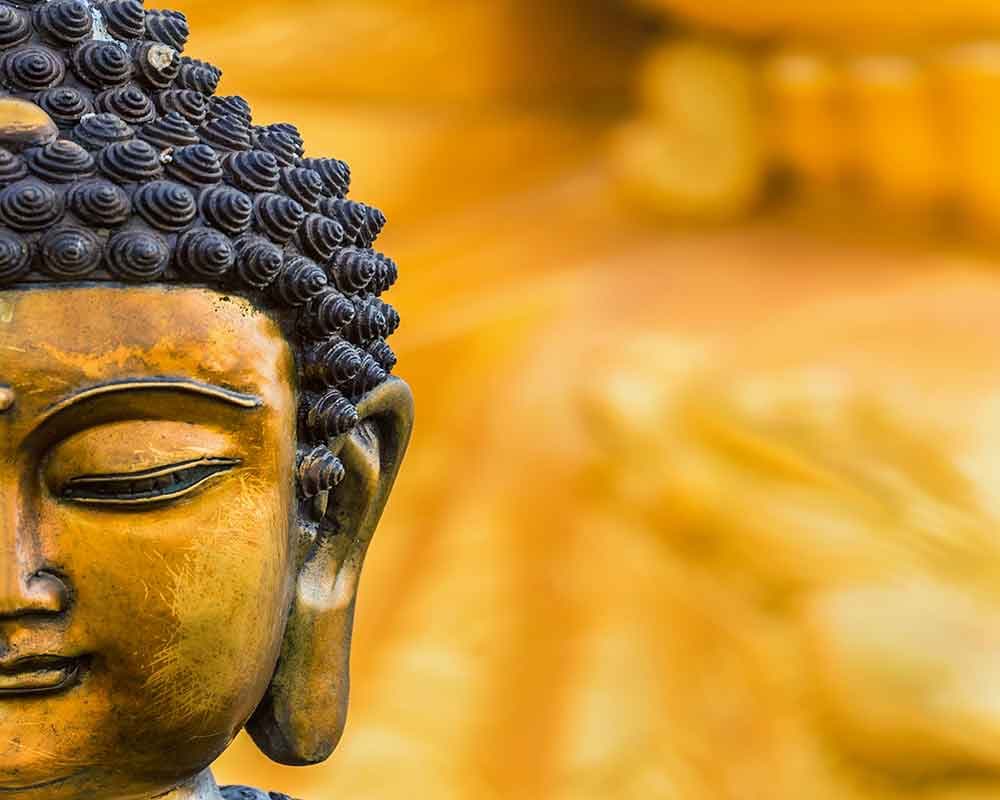 Buddha Semytric pattern detail