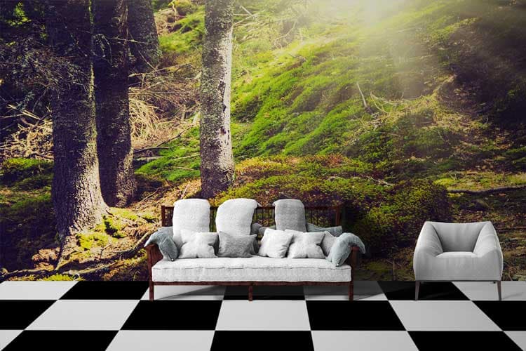 Peaceful Nature Inspired Forest Wallpaper shown in a room