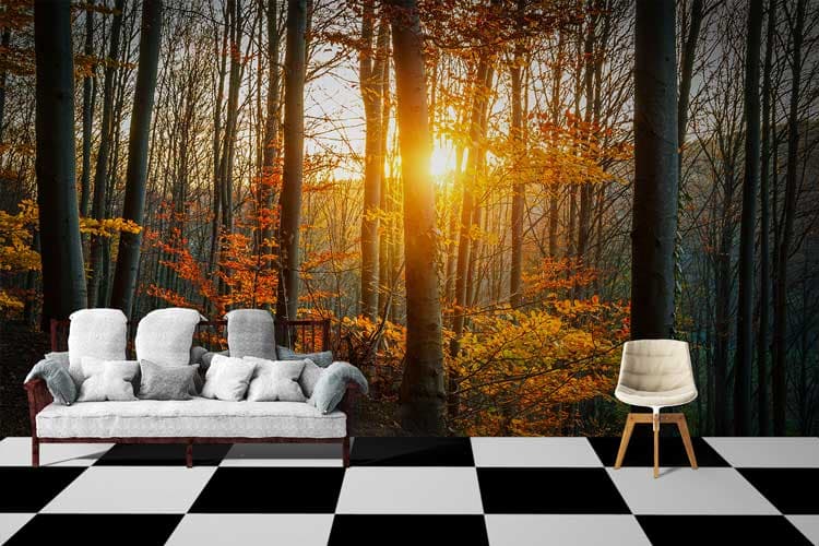 Sunset Forest Autumn Scenic Nature View Wallpaper shown in a room